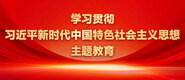 爆操学生妹在线看学习贯彻习近平新时代中国特色社会主义思想主题教育_fororder_ad-371X160(2)